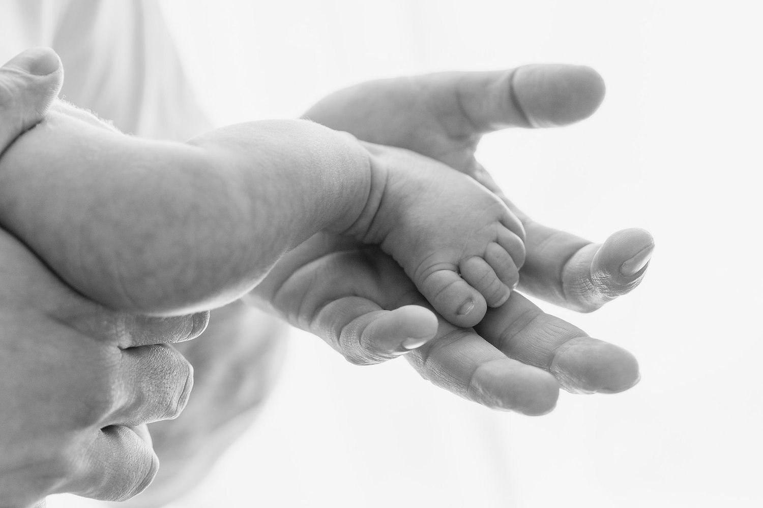 Elm Imagery Wedding Photography