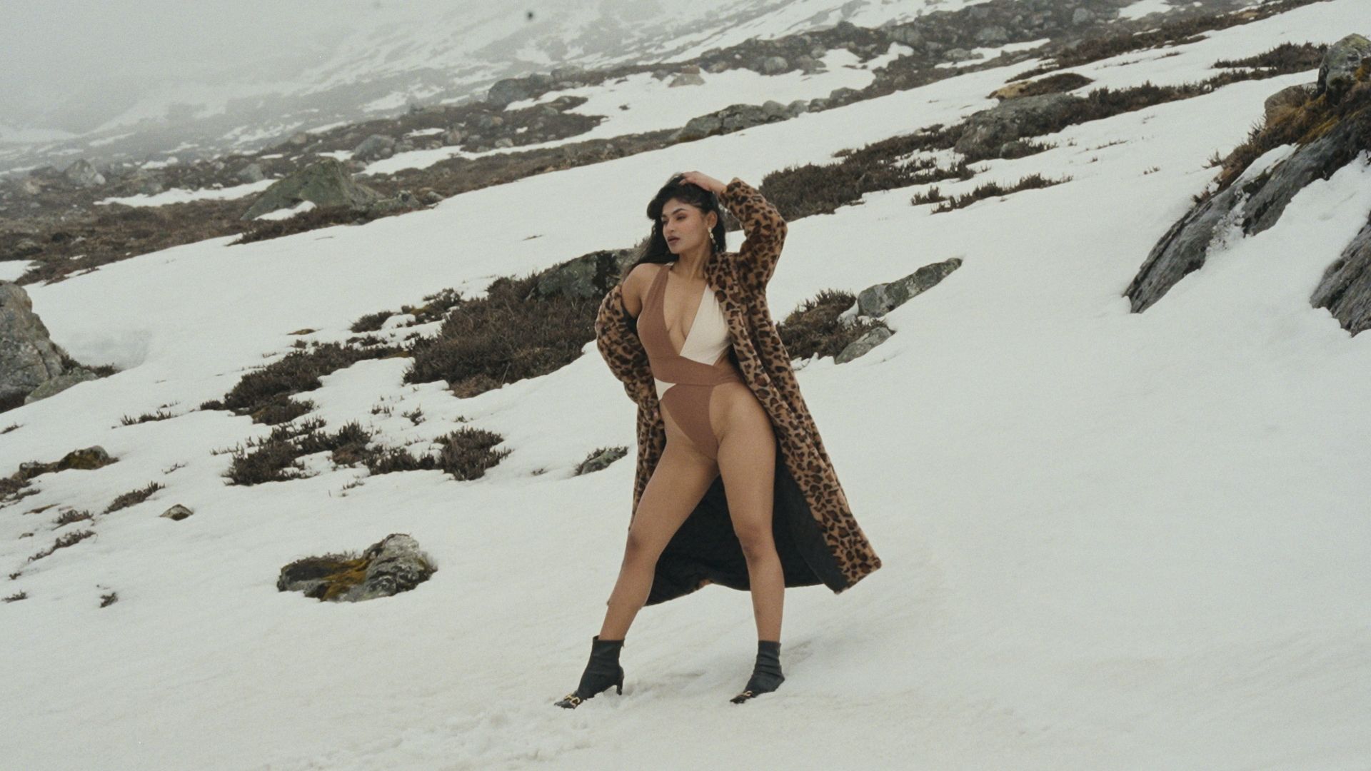 FOI Magazine