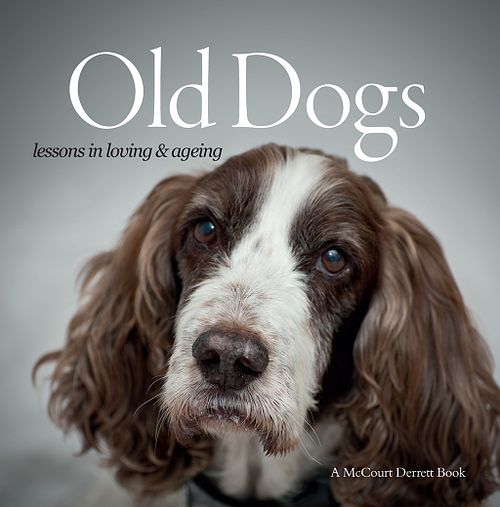 Old Dogs: Lessons in Loving & Ageing