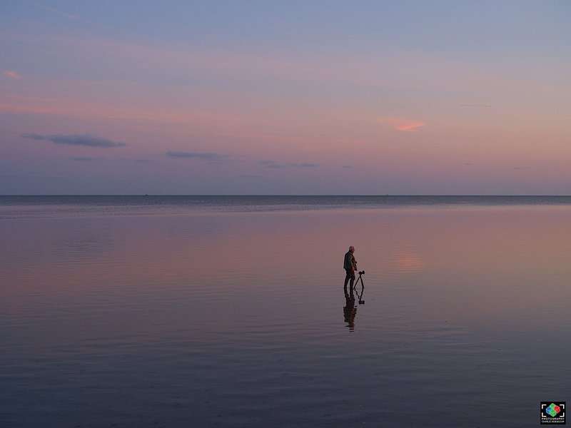 Midweek Oostelijke Waddenzee 5 dagen (4 - 8 mei 2026)