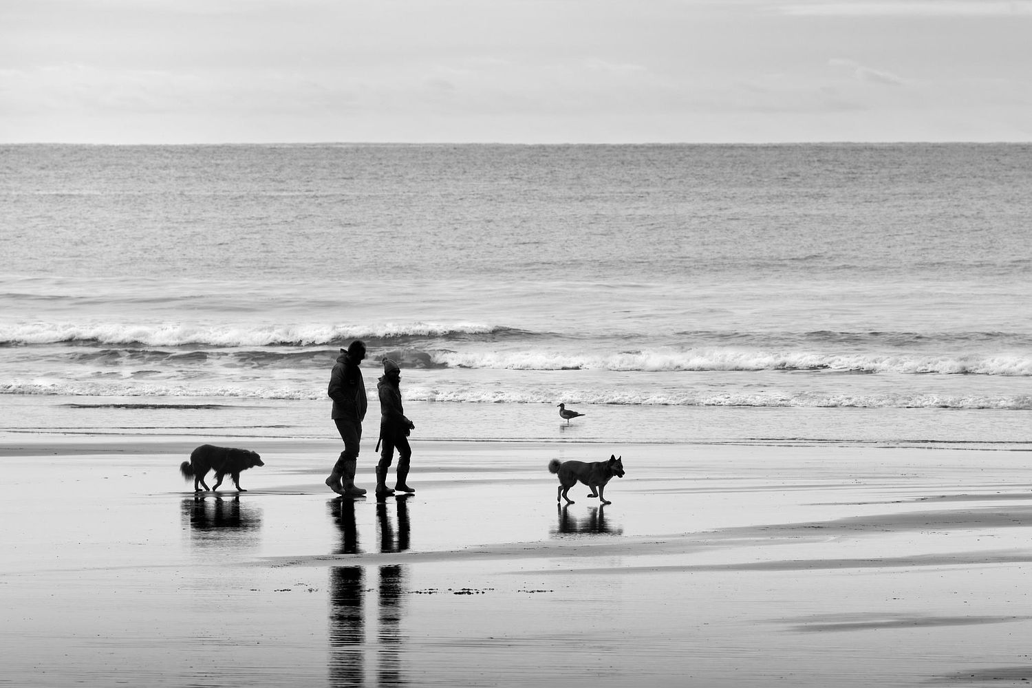 Sandra Ann Photography