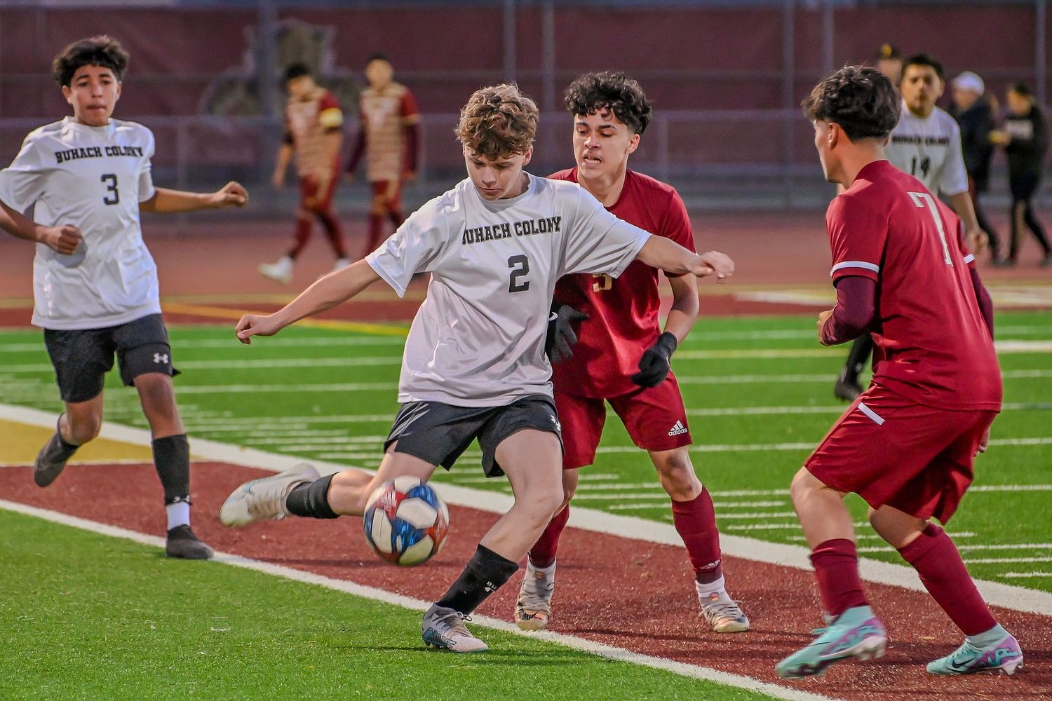 Mark Ingraham's Action & Nature Photos