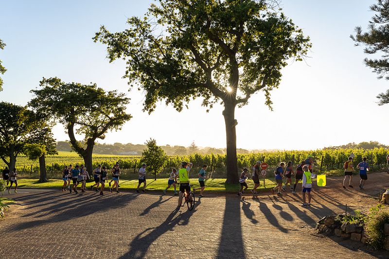 Totalsport VOB Grape Run 2024