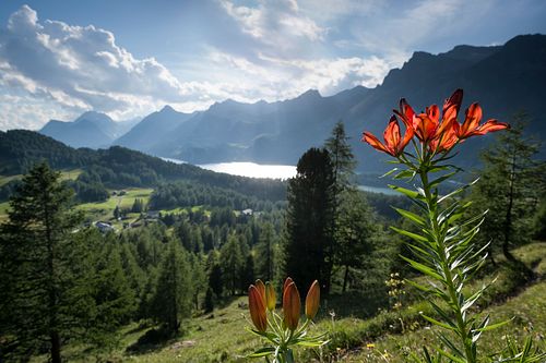 Kapelle Wilder Geschinen