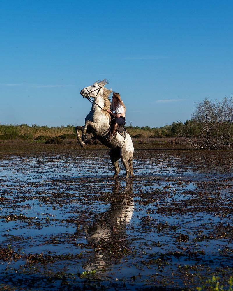 Photo Event in Camargue - April 2025