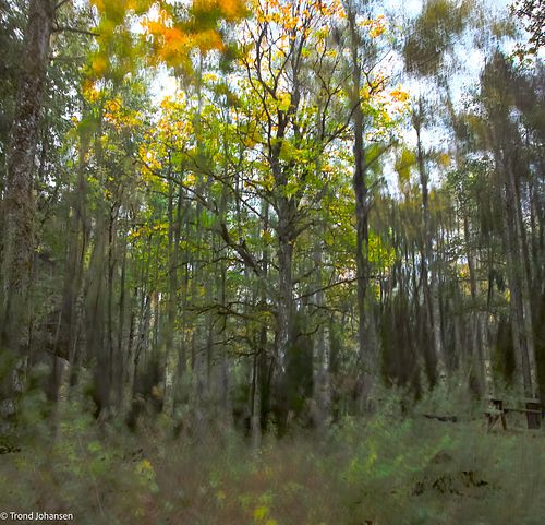 Trond Johansen Foto Natur Sarpsborg - Fotograf / Film