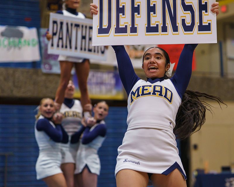 Mead Panther HS Cheer 2025-2026