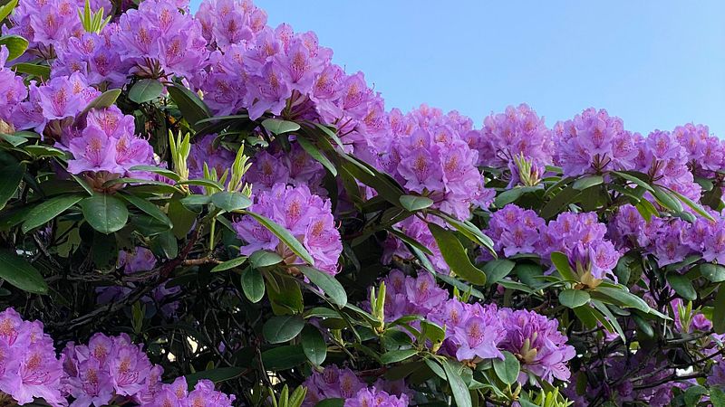 I dag på oppdrag mellom 12:00 og 13:30.