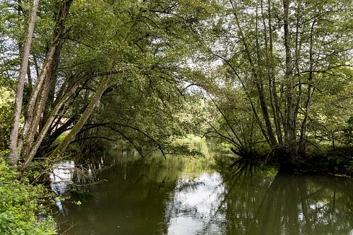 Die Vils bei Traidendorf 