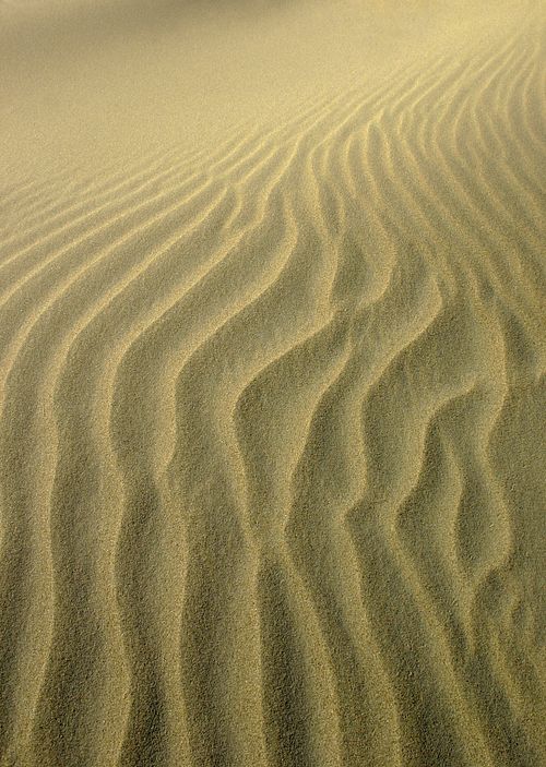#sand #sand ripples #desert #dune
