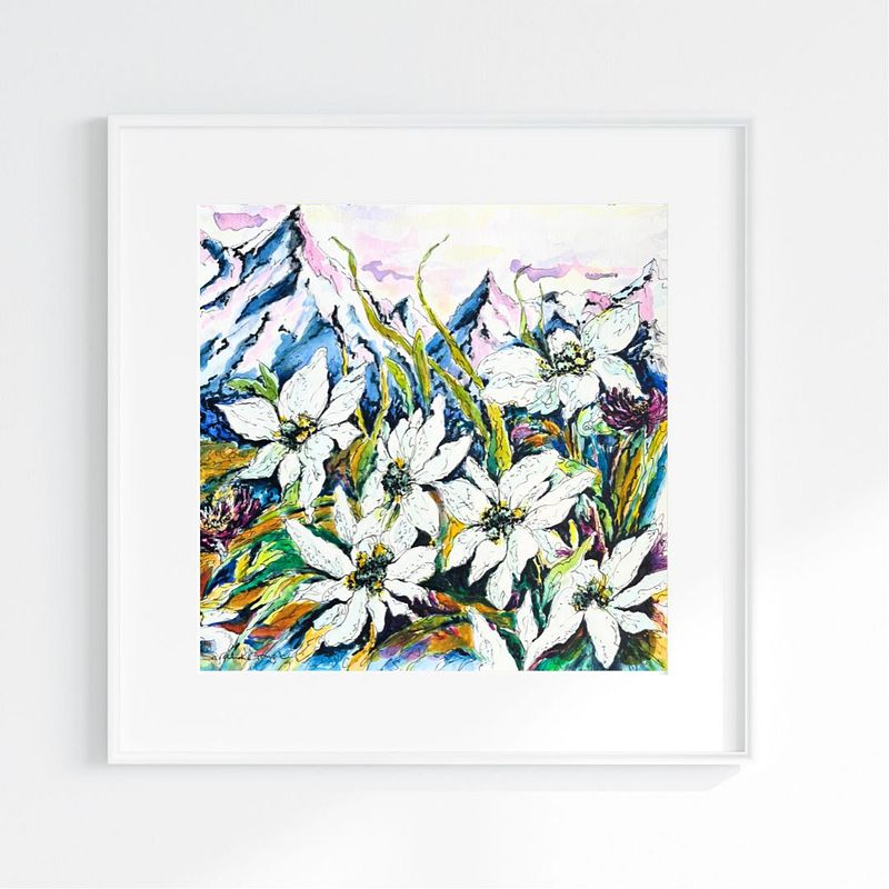 White Edelweiss Alpine Mountain Wild Flowers- Original Watercolour and Pen Illustration