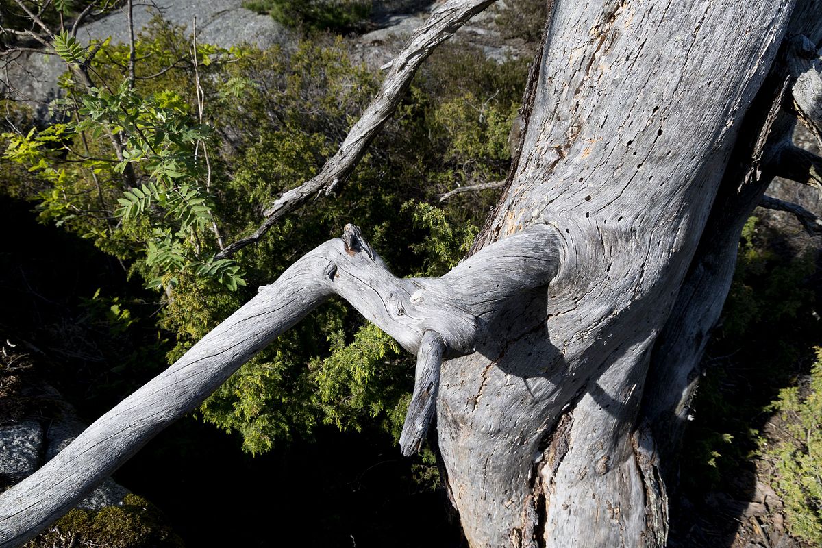 Stangnes Gea Norvegica Geopark