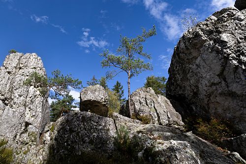 Der grosse Pfahl bei Viechtach