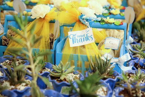 Pradeepkphotography@gmail.com