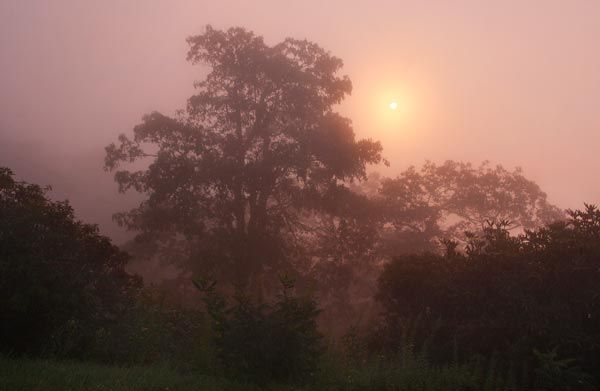 Jonathan Welch Media Arts