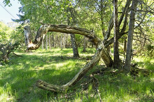 Im Nationalpark Jomfruland