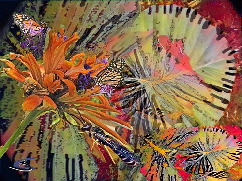 flowers semi abstract