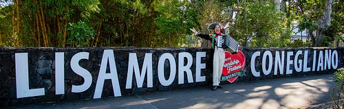 Lismore Friendship Festival.