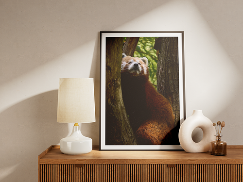 Wildlife Prints