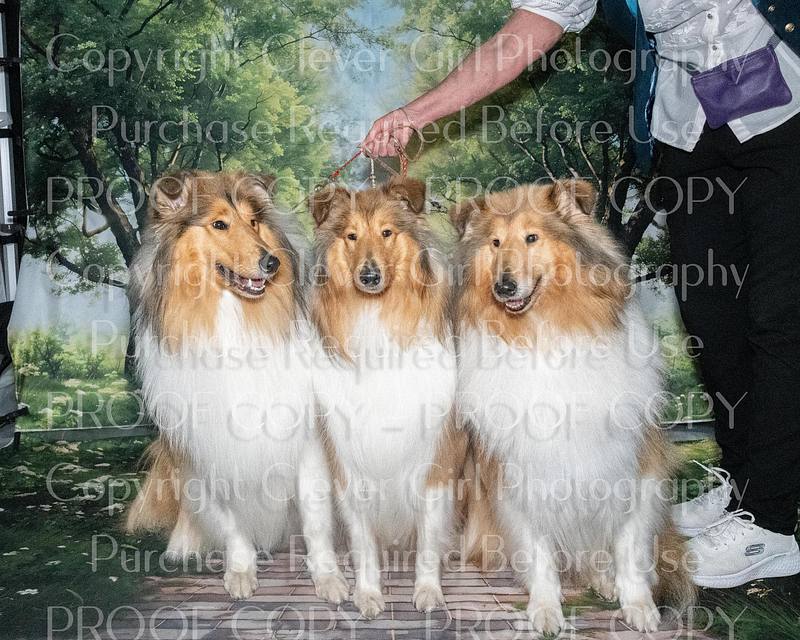 Scottish Kennel Club Championship Show 2025