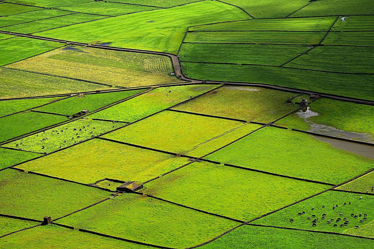 nanette kardaszeski fine photography