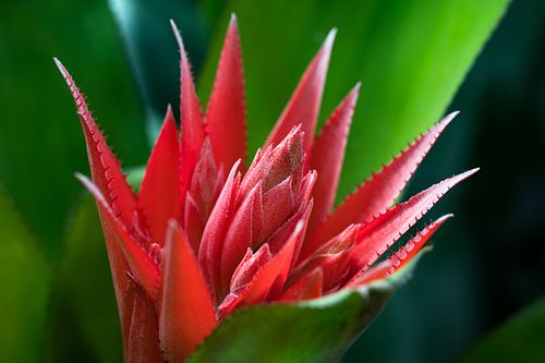 Büten auf dem Oeschberg