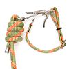 SwiftRelease™ Agility Lead + Collar - Citrus Splash - Pre-Made