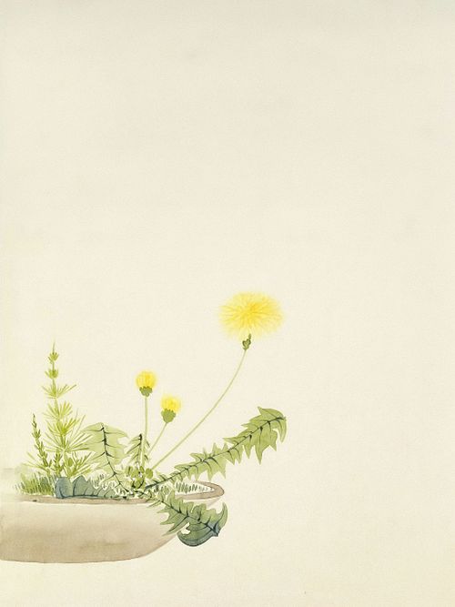 Core Principles of TCM