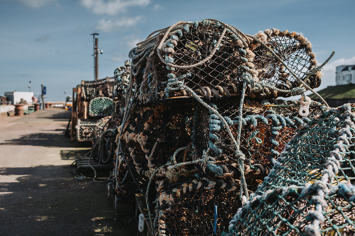 harbour with Fishermans trap