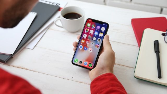 человек держит космический серый iPhone X