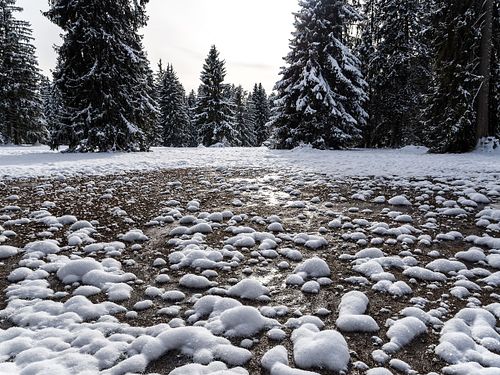 Kapelle Wilder Geschinen