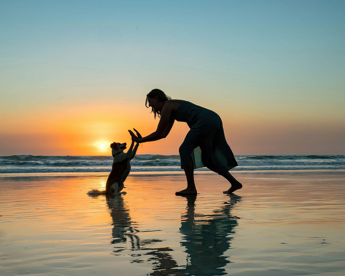 dog-beach-photographer