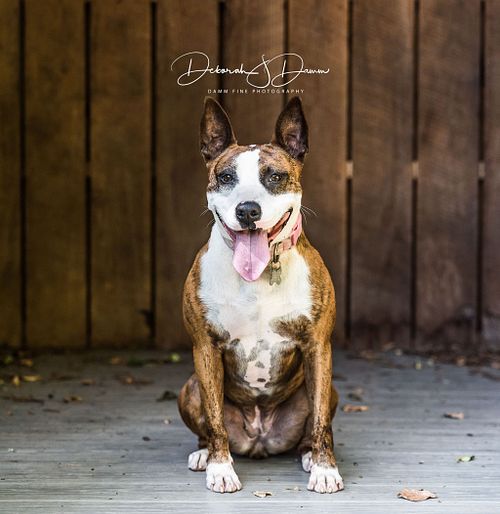 Premium Outdoor Session