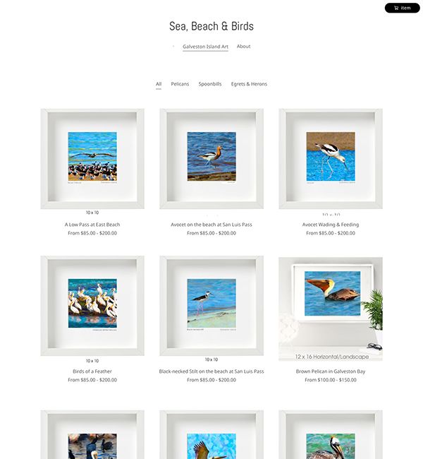 Jean Northington Portfolio Website Examples