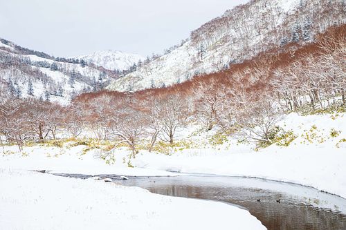 Winterlandschaft Hokkaido