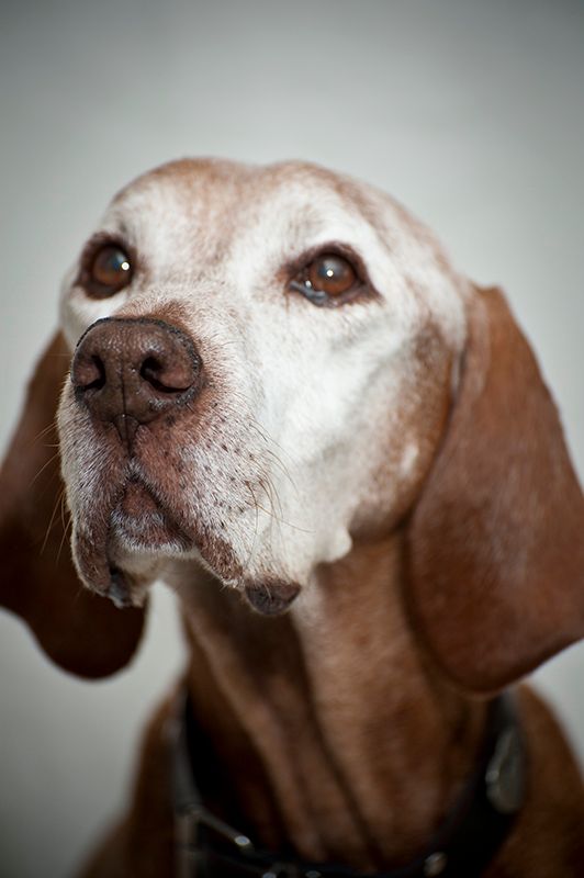 Rupert