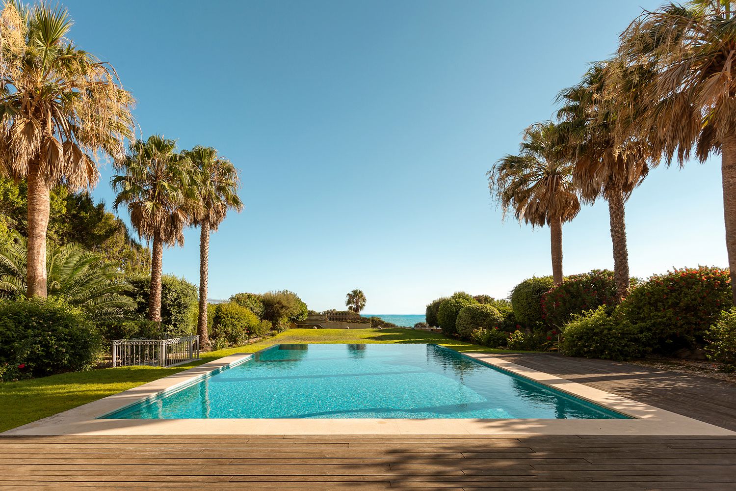 PEDRO BR&Aacute;S PHOTOGRAPHY