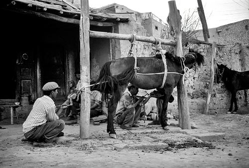 Kashgar | Cina? | 1997