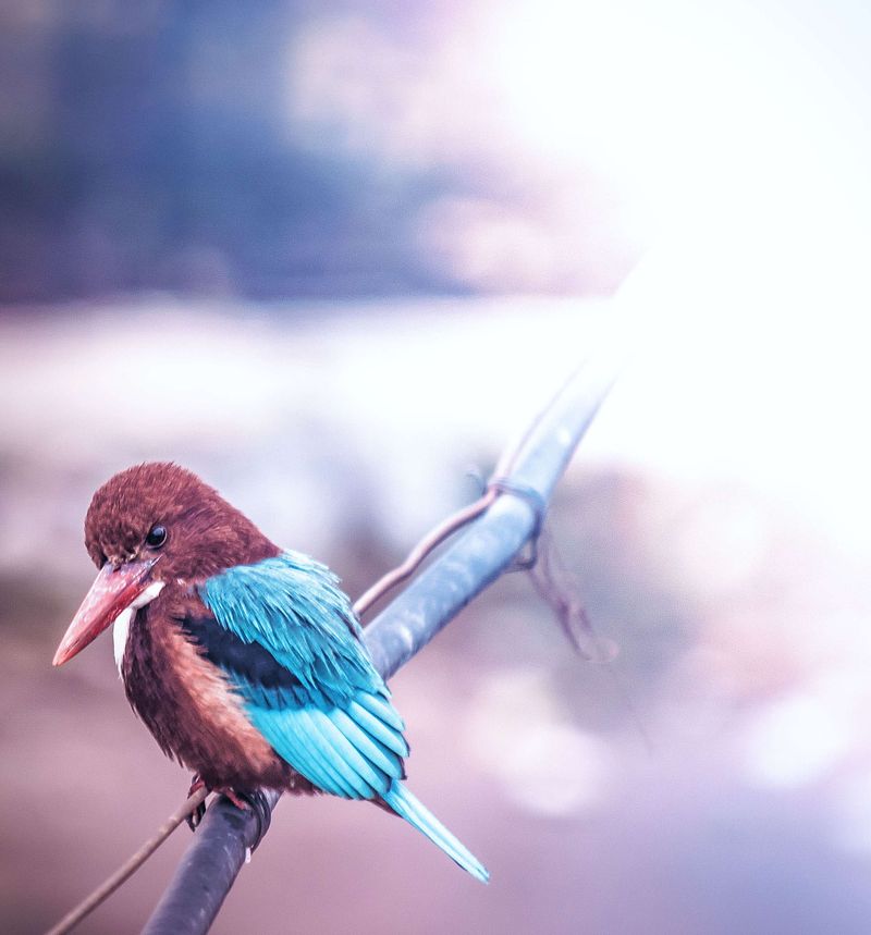 DSLR Features You Don't Really Need