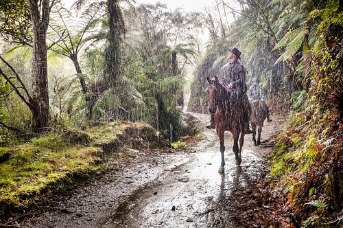 Commercial, Editorial & Architectural Photography