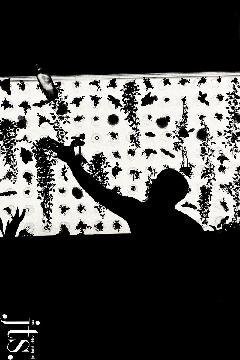 Video Content Creation