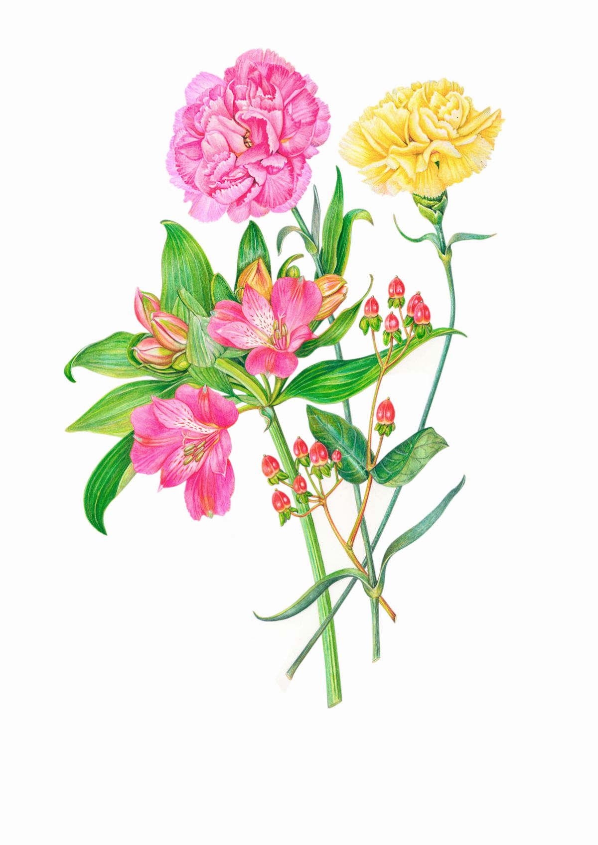 Alstromeria Mixed Study Artwork