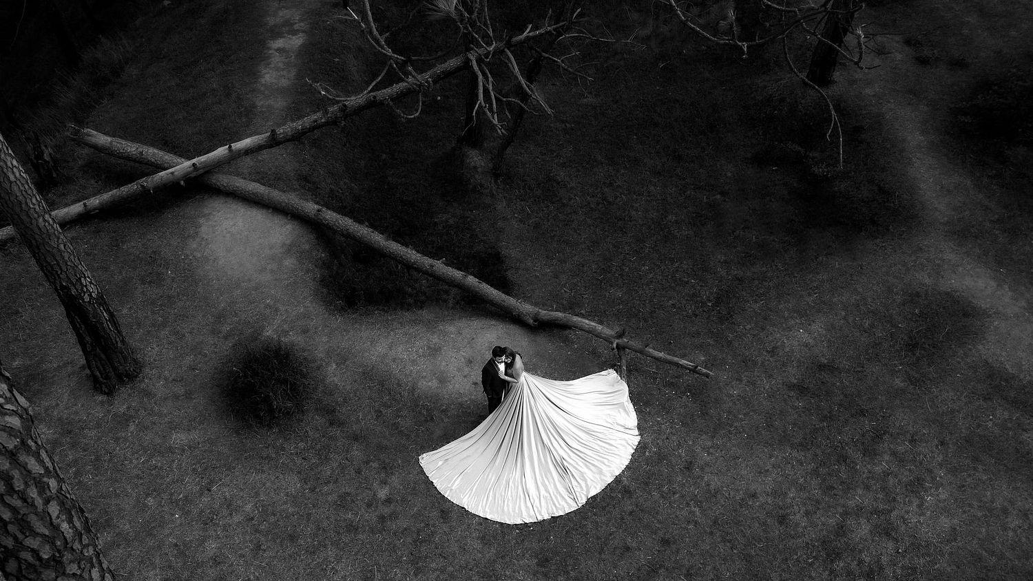 NK SHARMA PHOTOGRAPHY