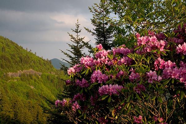 Jonathan Welch Media Arts