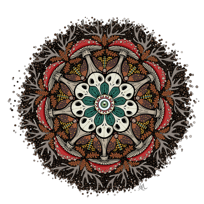 Mushroom Mandala Organic Cotton T-shirt
