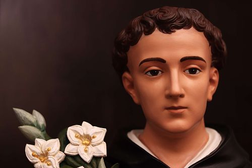 Beautifully restored face of St. Dominic Statue with his new lilies.