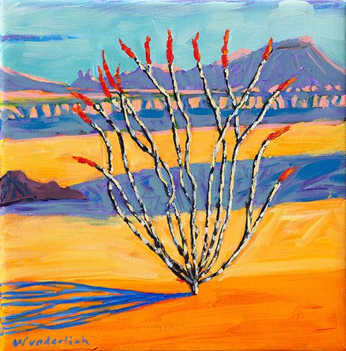 Ocotillo Sunset IV