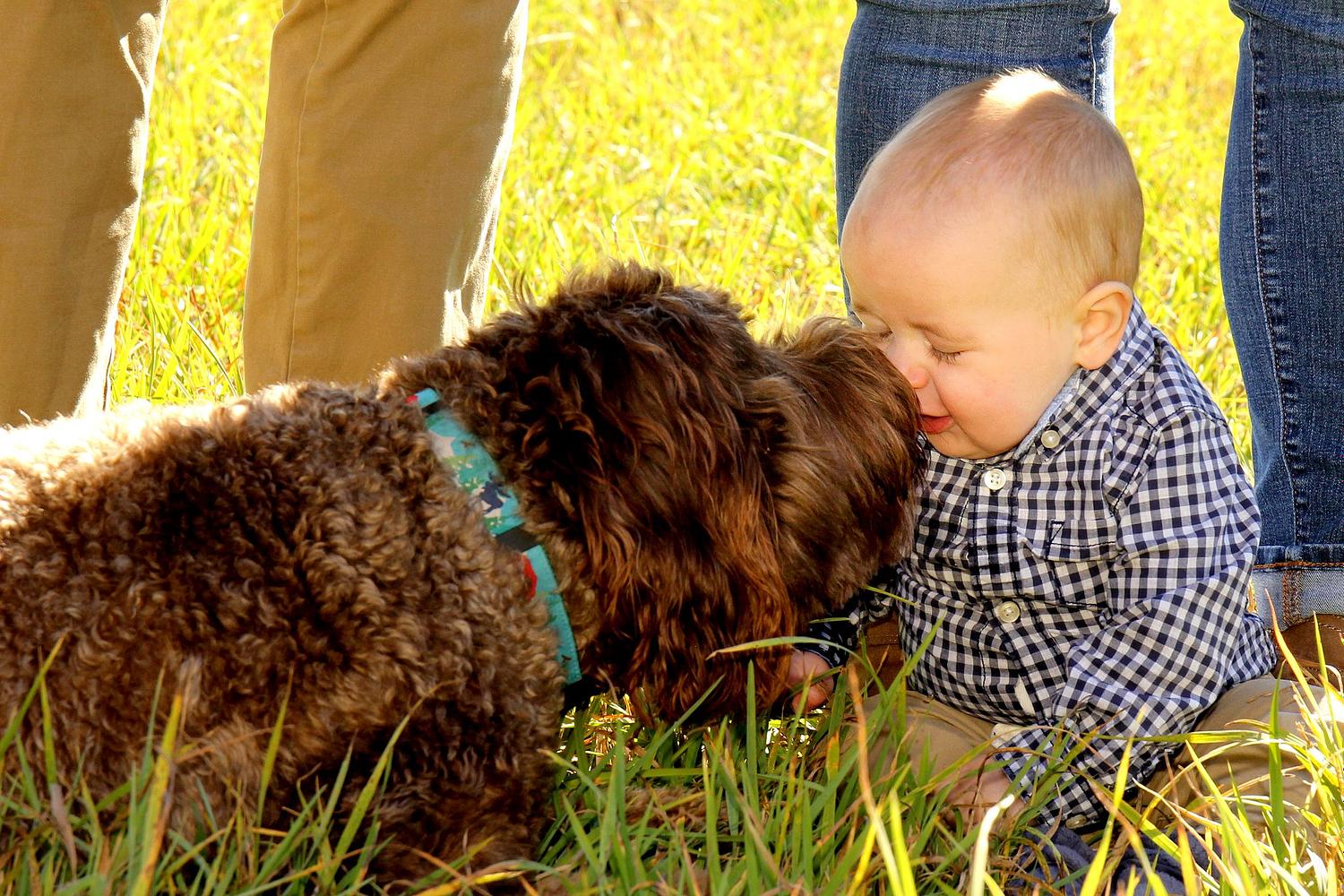 Forest Vibe Photography, Family and Pet Photography
