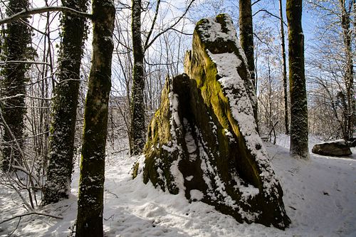 Unter den Gisnauflüe