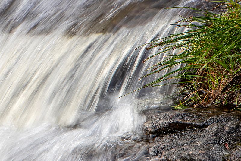 Studioet opner kl 12 i dag